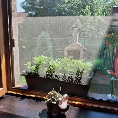 Gavri's Relaxing Place Apartment Brasov