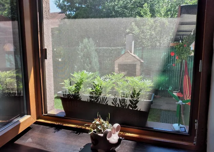 Gavri's Relaxing Place Apartment Brasov