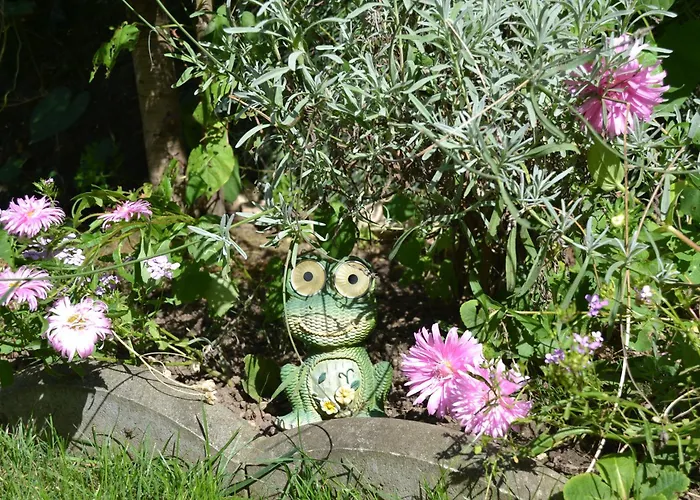 Gavri's Relaxing Place Braşov